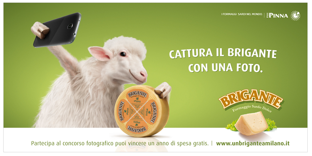 6x3 brigante concorso def